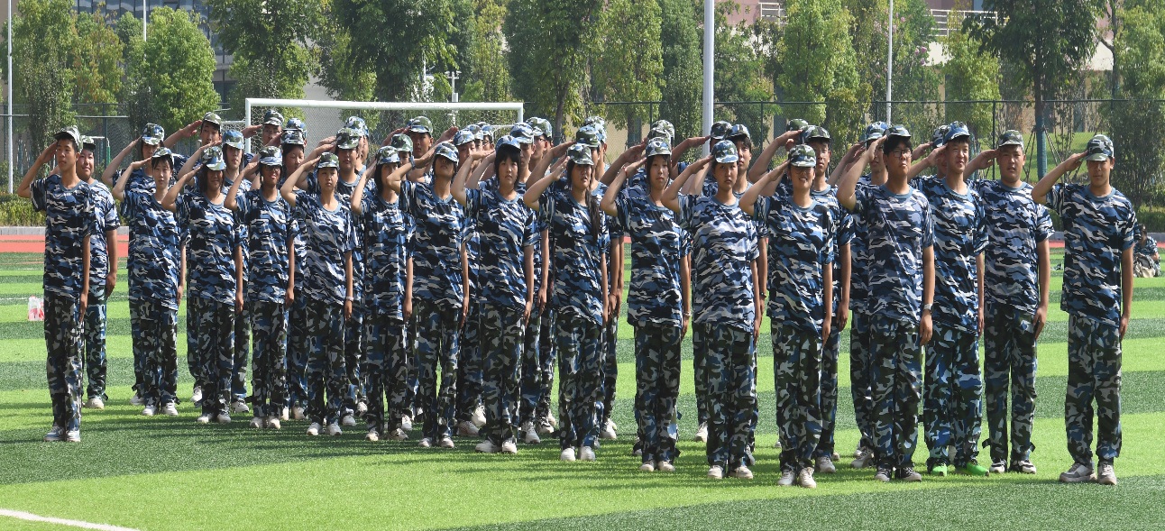 图片7.jpg 图片7.jpg